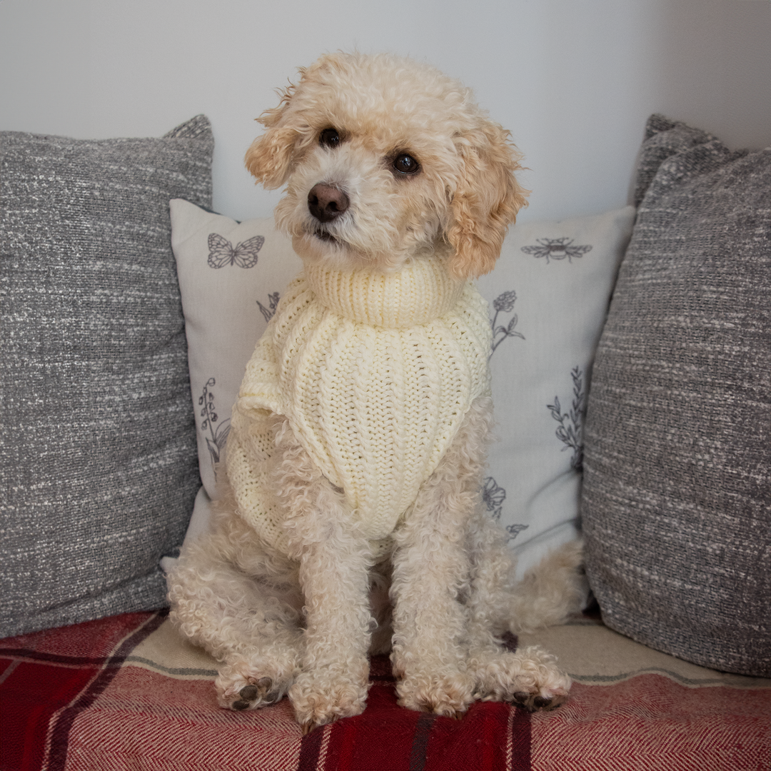 Cream fitted jumper hot sale