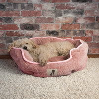 AllPetSolutions Alfie pink dog bed with a dog settled inside