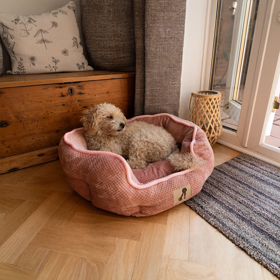 AllPetSolutions Alfie pink dog bed plush lining detail
