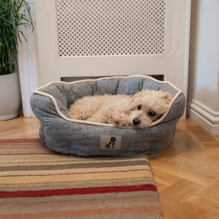 Grey dogs bed clearance