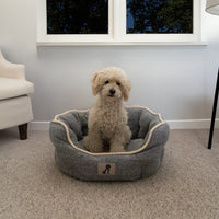 AllPetSolutions Alfie grey dog bed with a dog settled inside