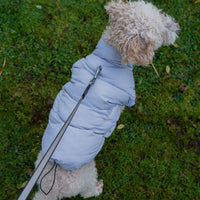 AllPetSolutions grey dog puffer jacket worn by a dog