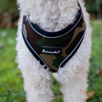 AllPetSolutions camo reflective dog harness worn by a dog