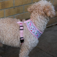 AllPetSolutions doughnut print dog harness reflective strip detail