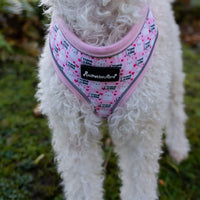 AllPetSolutions dog harness with reflective strip in pink llama print, sizes S, M and L