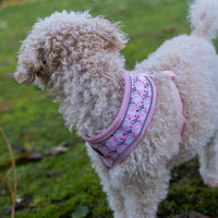 AllPetSolutions pink llama print dog harness worn by a dog