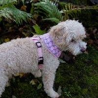 AllPetSolutions pink llama print dog harness reflective strip detail