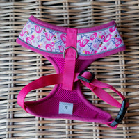 AllPetSolutions pink dog harness lead attachment ring close up
