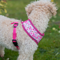 AllPetSolutions pink dog harness reflective strip close up