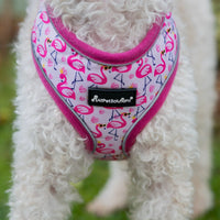 AllPetSolutions pink dog harness worn by a dog on a walk