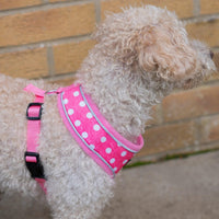 AllPetSolutions pink polka dot dog harness reflective strip detail