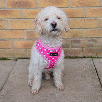 AllPetSolutions reflective dog harness in pink polka dot, sizes S, M and L