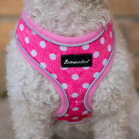 AllPetSolutions pink polka dot dog harness worn by a dog
