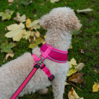 AllPetSolutions pink dog harness reflective strip detail