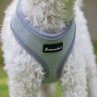 AllPetSolutions grey dog harness reflective strip detail