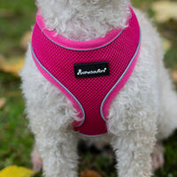 AllPetSolutions pink reflective dog harness worn by a dog