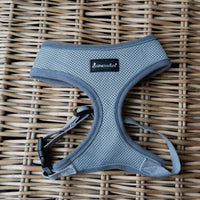 AllPetSolutions grey dog harness buckle and adjuster detail