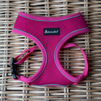 AllPetSolutions pink dog harness buckle and adjuster detail