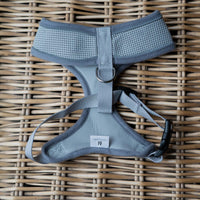 AllPetSolutions grey dog harness lead attachment ring detail