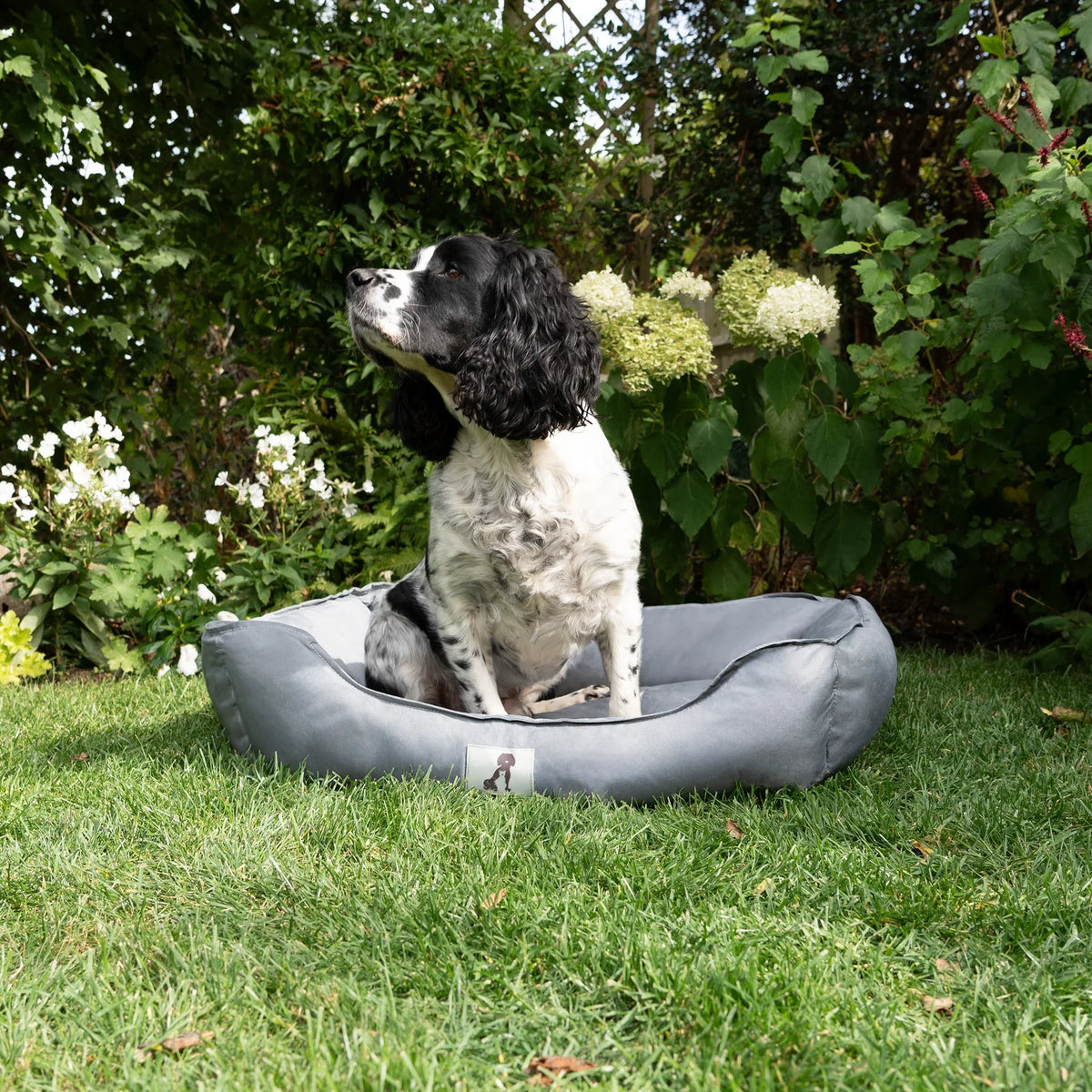 AllPetSolutions Dexter waterproof dog bed in grey, sizes S, M and L