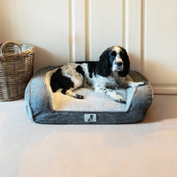 AllPetSolutions Duke grey sofa dog bed with a dog lying on it