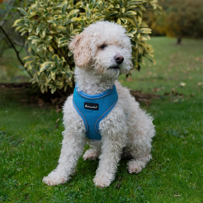 Dog Harness with Reflective Strip