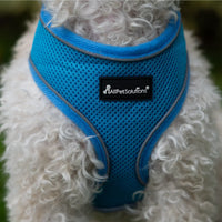 AllPetSolutions blue reflective dog harness worn by a dog