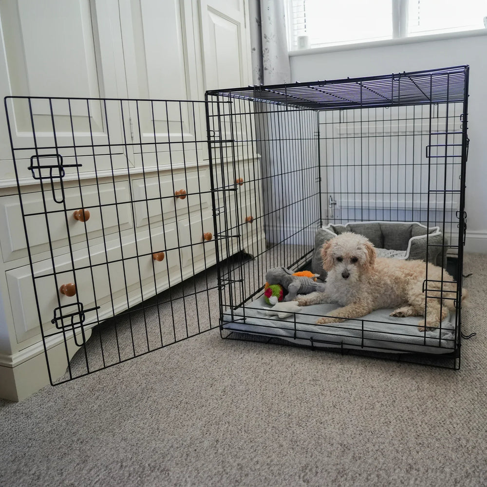 AllPetSolutions dog crate door latch detail