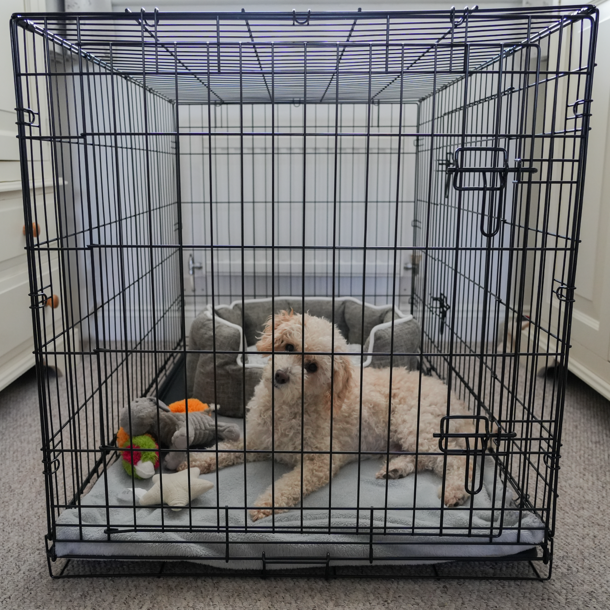 dog crate bottom metal