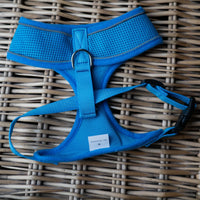 AllPetSolutions blue dog harness webbing and stitching close up