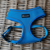 AllPetSolutions blue dog harness in use on a walk