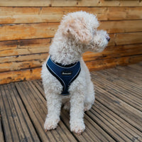 AllPetSolutions navy reflective dog harness worn by a dog