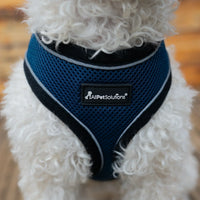 AllPetSolutions navy dog harness reflective strip detail