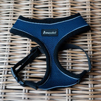AllPetSolutions navy dog harness lead attachment ring detail