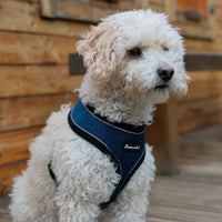 AllPetSolutions dog harness with reflective strip in navy, sizes S, M and L