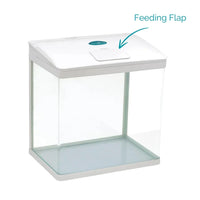 AllPetSolutions 29 litre nano tank with the LED hood lit