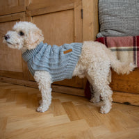 AllPetSolutions grey knitted dog jumper worn by a dog