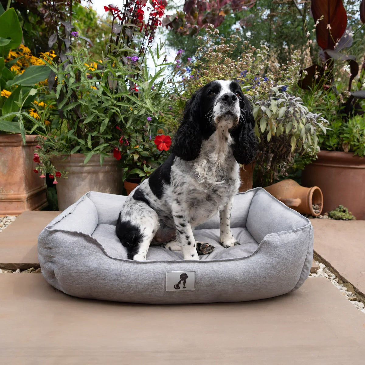 AllPetSolutions Dexter waterproof dog bed in light grey, sizes S, M and L