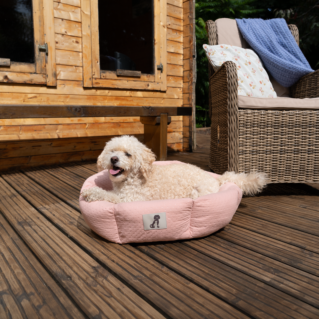 Pink small dog bed outlet