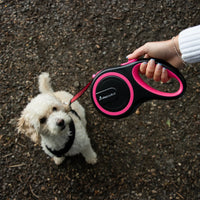 AllPetSolutions pink retractable lead swivel clip detail