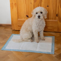 AllPetSolutions puppy pad absorbency layers cutaway