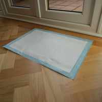 AllPetSolutions puppy pads with a puppy standing on a pad
