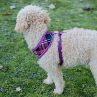 AllPetSolutions purple tartan dog harness reflective strip detail
