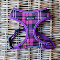 AllPetSolutions purple tartan dog harness buckle and adjuster detail