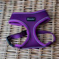 AllPetSolutions purple dog harness buckle and adjuster detail