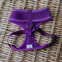 AllPetSolutions purple dog harness lead attachment ring detail