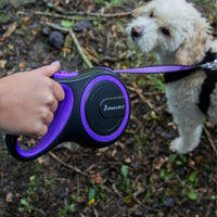AllPetSolutions purple retractable lead swivel clip detail