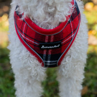 AllPetSolutions red tartan dog harness worn by a dog