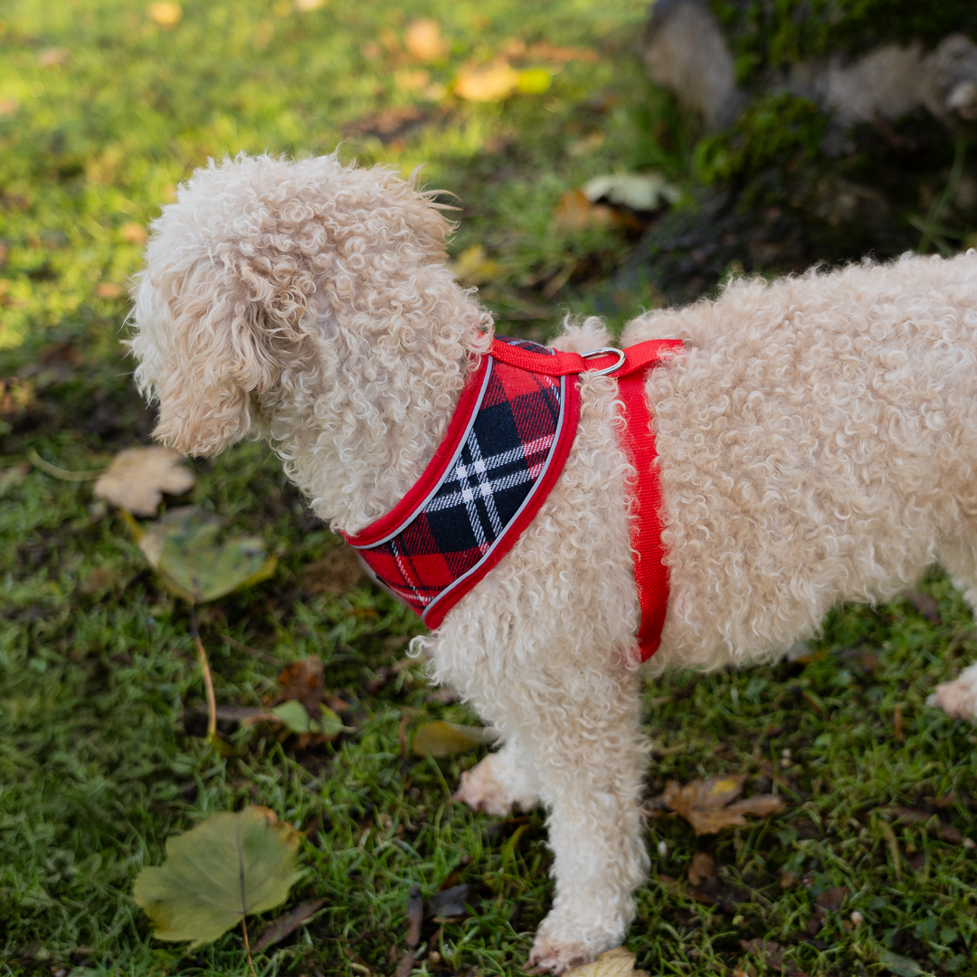 Dog Harness with Reflective Strip in Red Tartan S M L XL AllPetSolutions