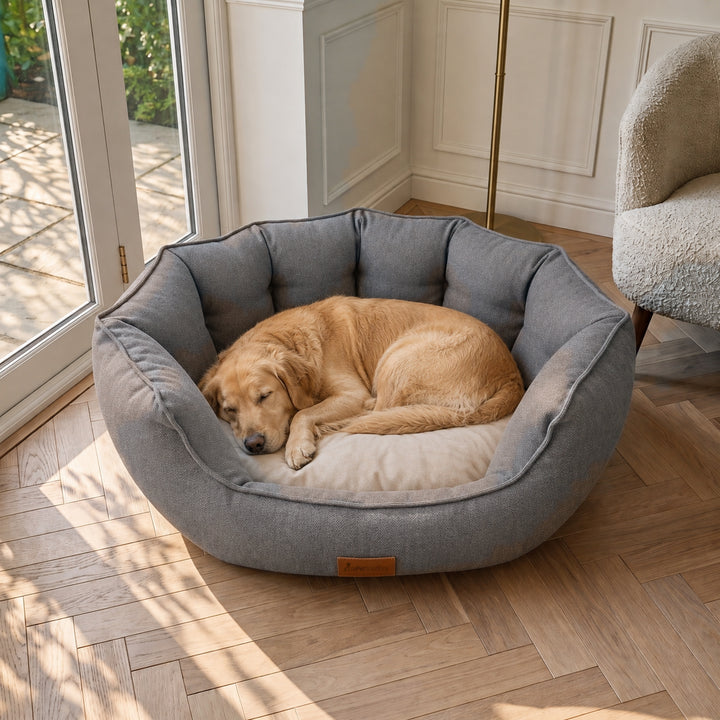 AllPetSolutions Alfie Premium Dog Bed - Chocolate Truffle